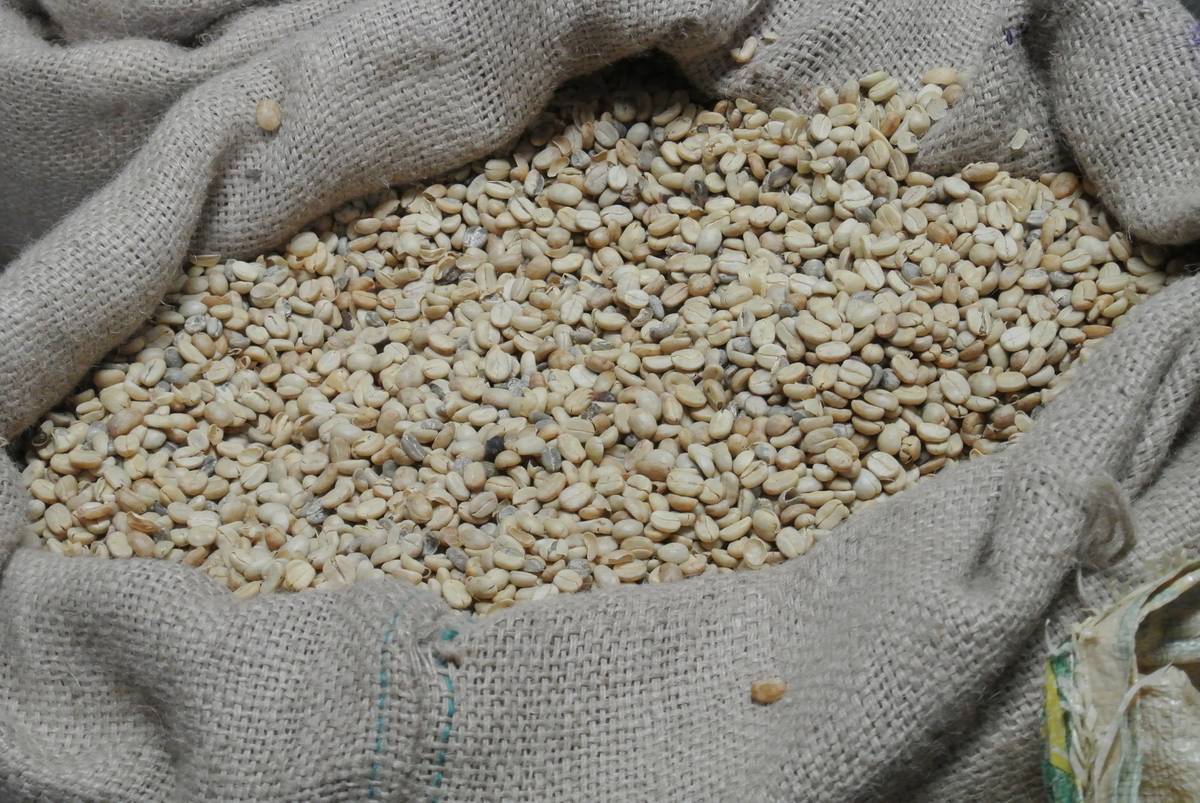 coffee-plant-dish-food-produce-crop-904453-pxhere.com_.jpg