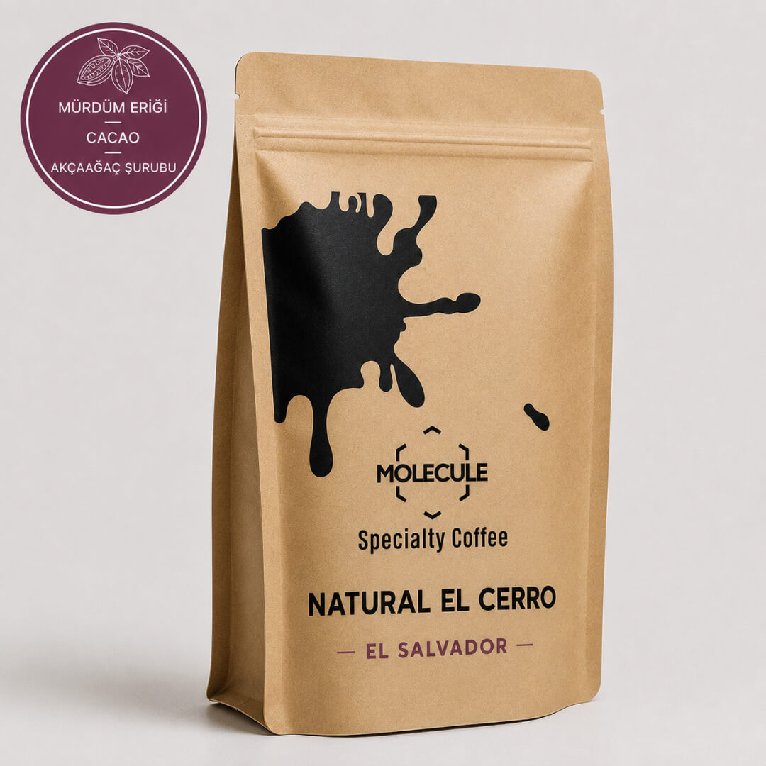 molecule-elsalvador-naturalelcerro.jpg