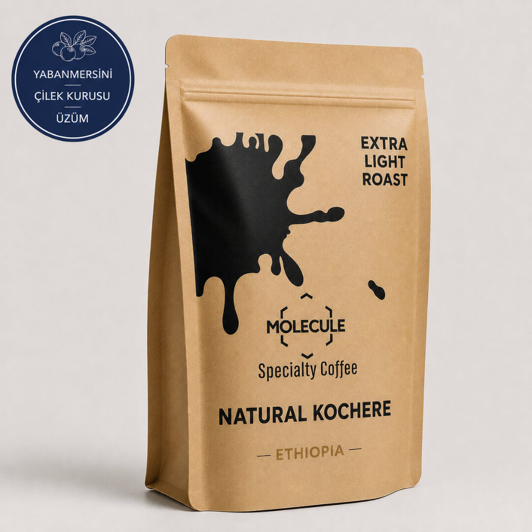 molecule-ethiopia-kochere.jpg