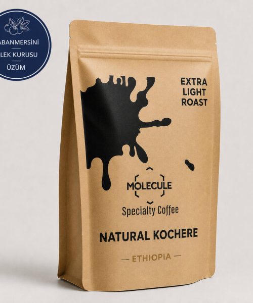 molecule-ethiopia-kochere.jpg
